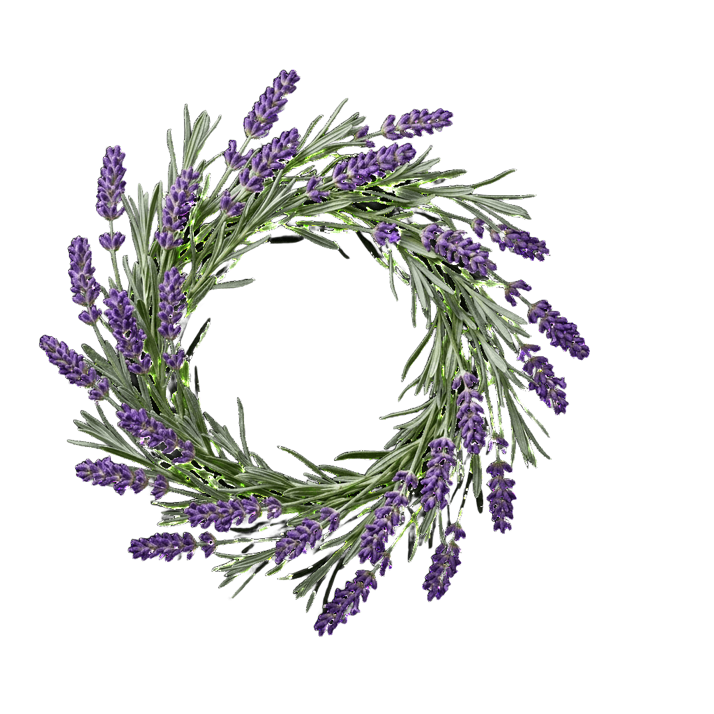 Lavanda, foto recortada sem fundo